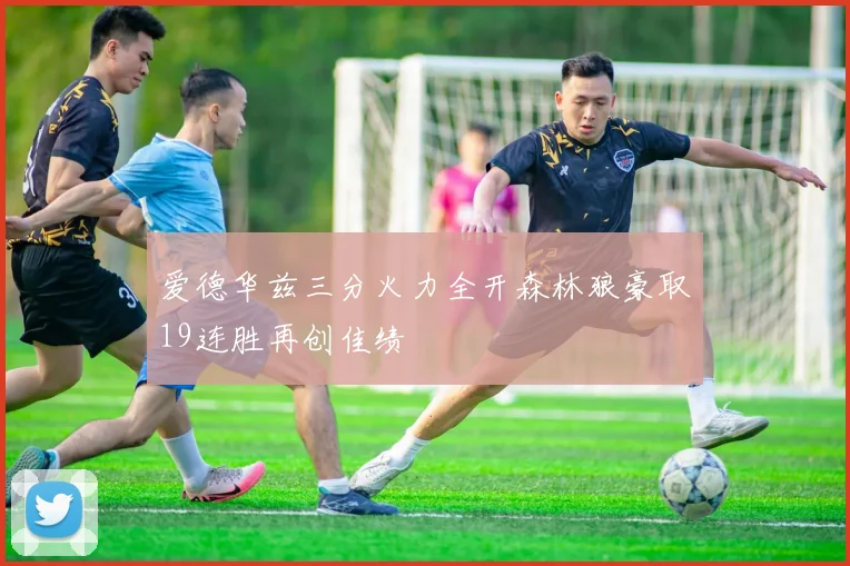 爱德华兹三分火力全开森林狼豪取19连胜再创佳绩